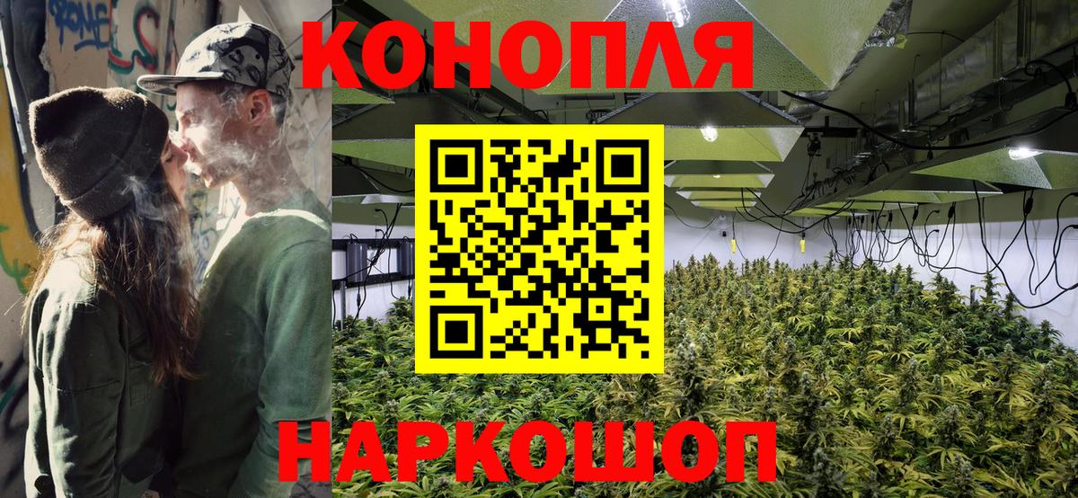Шишки марихуана White Widow  Вход с VPN  Новороссийск  МАРИХУАНА планчик 