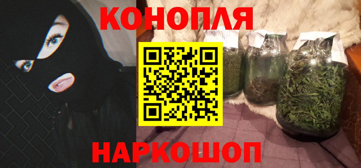 Шишки марихуана сатива Новороссийск